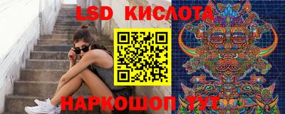 СК Донецк