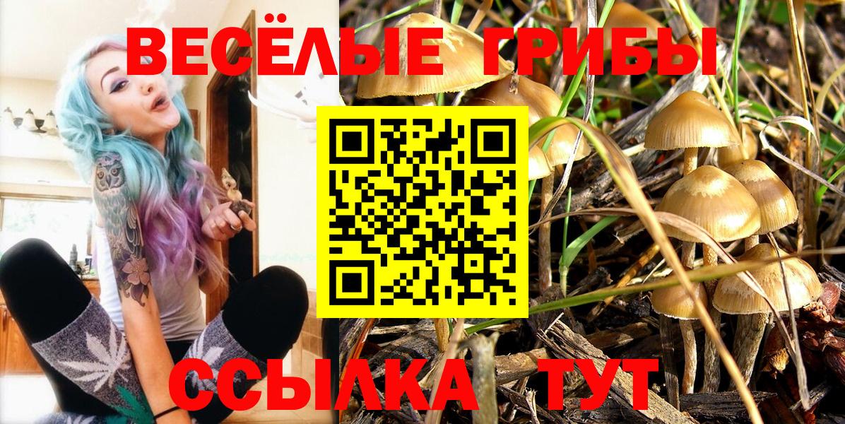 Галлюциногенные грибы мицелий Дятьково